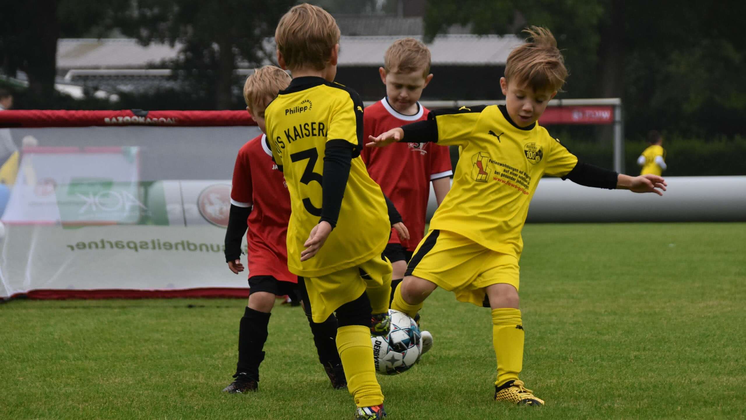 Kinderfußball Soest Kaiserau Mitgliederstatistik